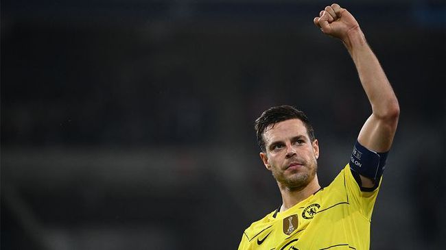 青草视频入口在线观看