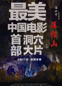 张柏芝拍的a三级视频