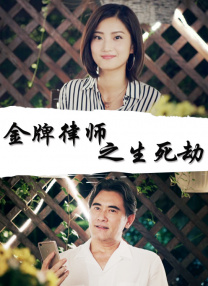 91视频h